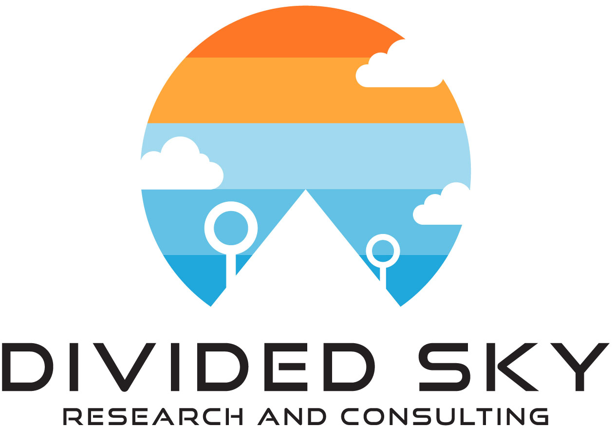 Dividedsky Consulting